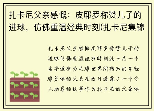 扎卡尼父亲感慨：皮耶罗称赞儿子的进球，仿佛重温经典时刻(扎卡尼集锦)